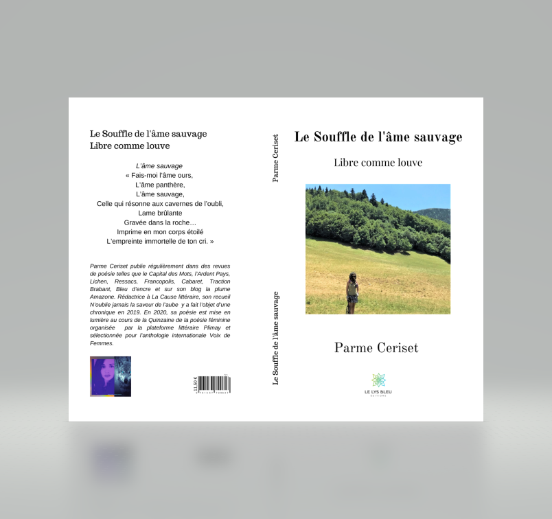 Capture d ecran recueil image pour eric dubois 2