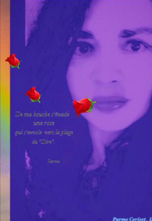 Parme rose