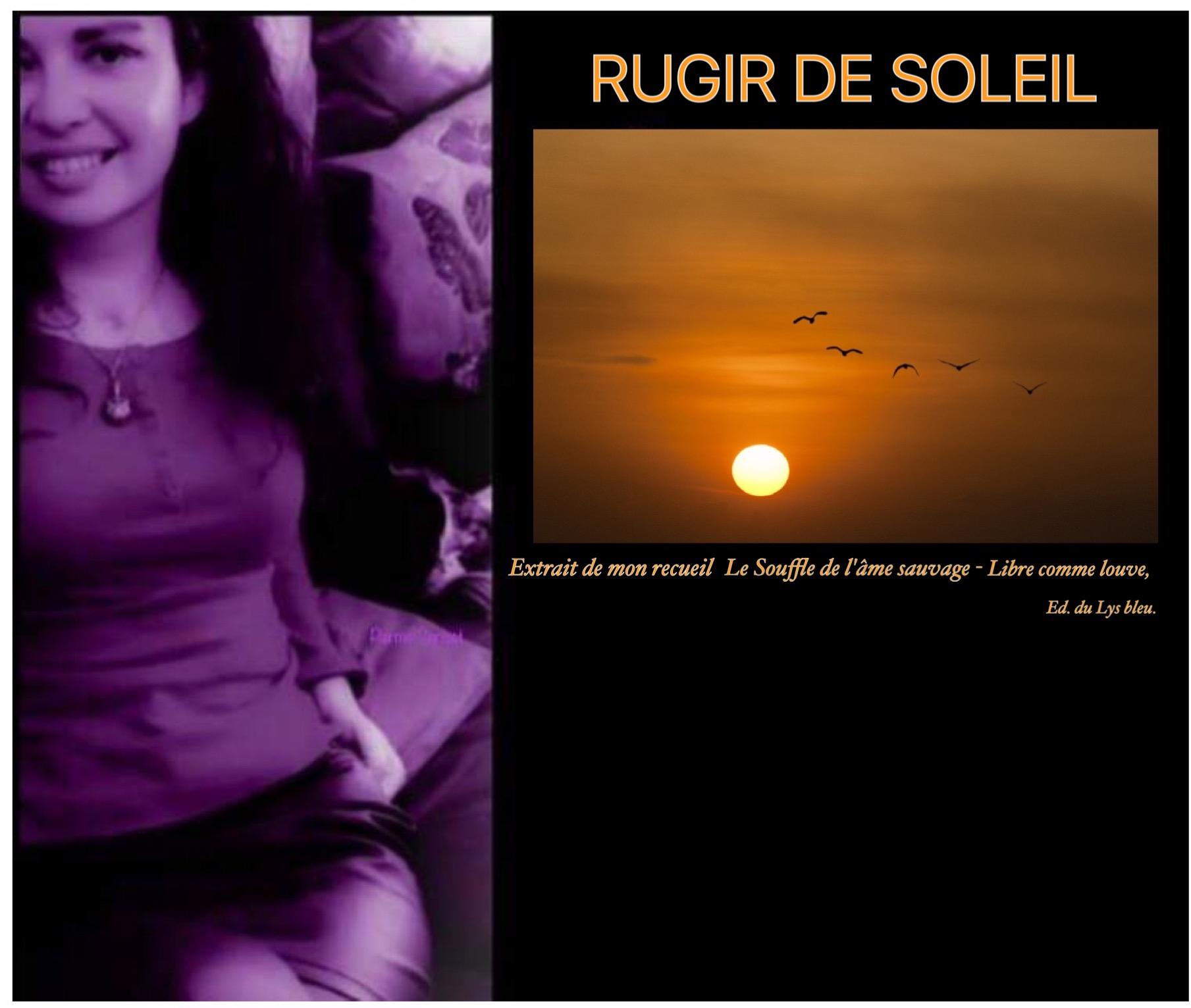 Photo parme jupe soleil