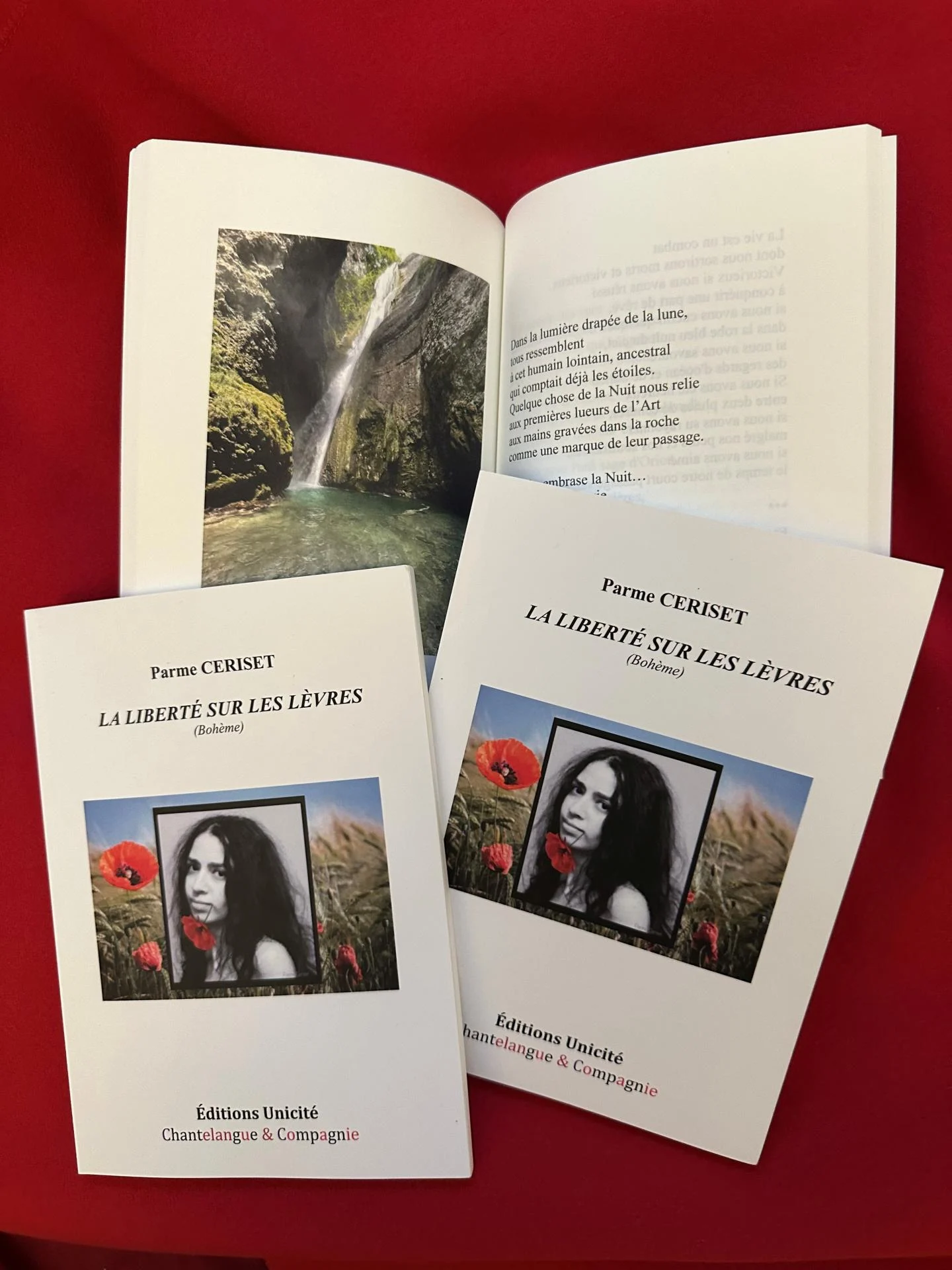 Affiche recueil la liberte sur les levres deux exemplaires et cascade