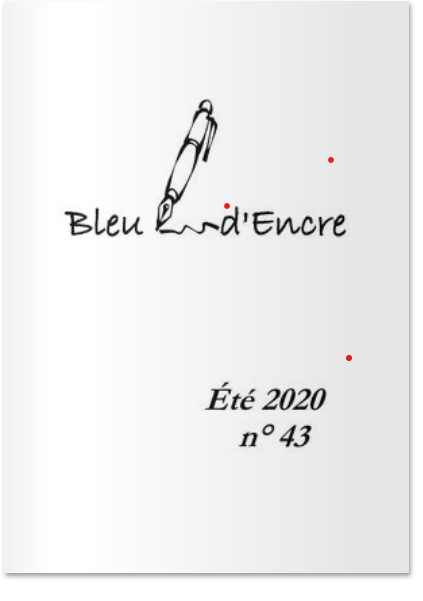Capture d ecran 2021 03 18 235725 revue bleu encre