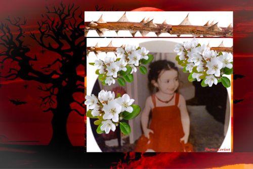 Image revue nd parme enfance