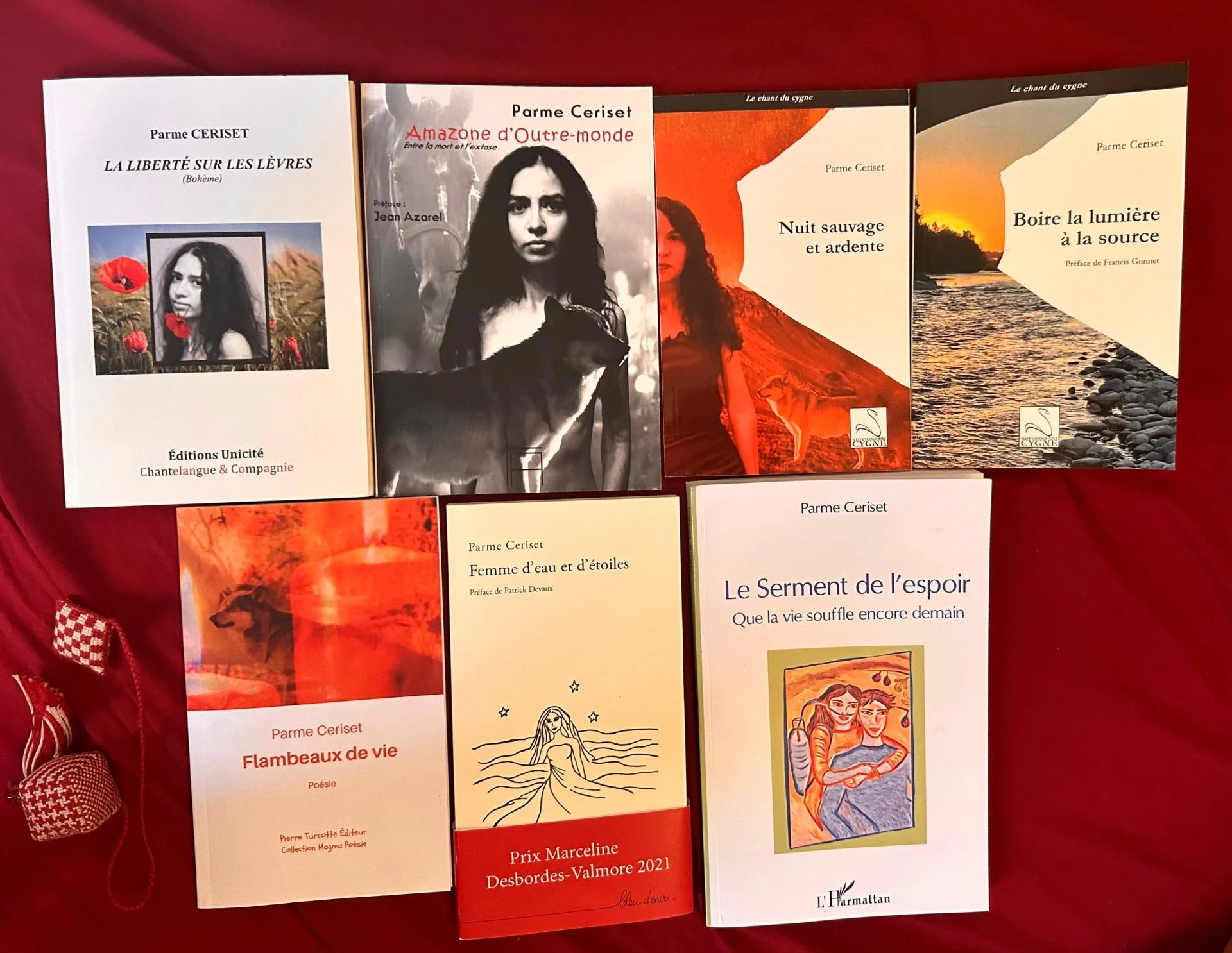 Photo de famille des mes livres 2025